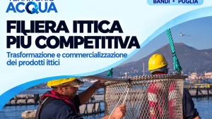 Puglia, bando regionale per la filiera ittica: investimenti in competitività e sostenibilità