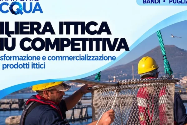 Puglia, bando regionale per la filiera ittica: investimenti in competitività e sostenibilità
