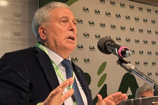 Puglia, Gennaro Sicolo eletto presidente del Comitato Oleicolo Internazionale