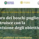 Anteprima di: Regione Puglia, al via incontri partecipativi per il Programma Forestale 2026-2046