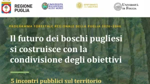 Anteprima di: Regione Puglia, al via incontri partecipativi per il Programma Forestale 2026-2046