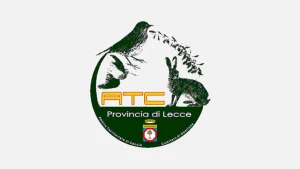 Anteprima di: Salento, allerta mixomatosi nelle lepri selvatiche: l'ATC di Lecce avvisa i cacciatori