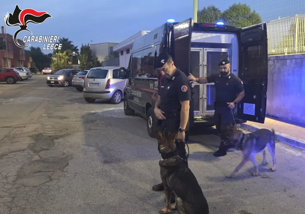 Dettaglio 2: Salento, controlli Carabinieri: due arresti e quattro denunce