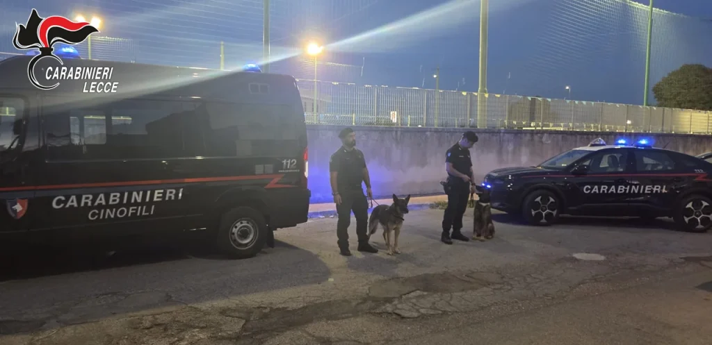 Dettaglio 3: Salento, controlli Carabinieri: due arresti e quattro denunce