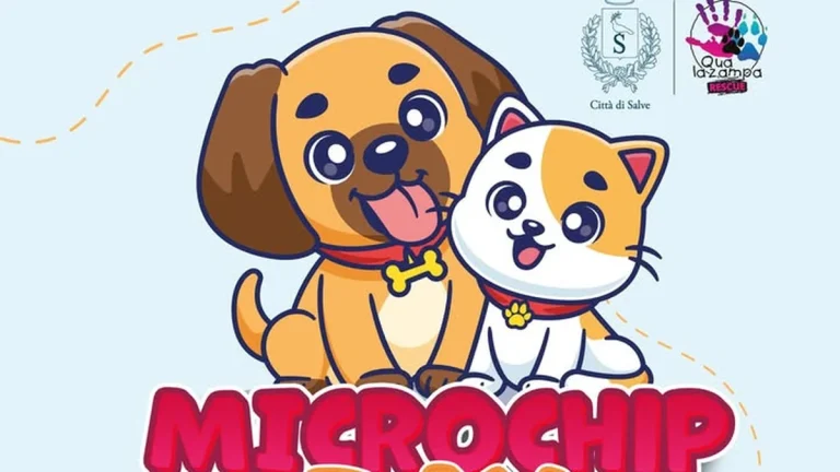 Salve, Microchip Day gratuito per cani e gatti: appuntamento l’8 novembre