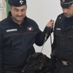 San Cassiano e Copertino, due donne arrestate dai Carabinieri per furto e spaccio