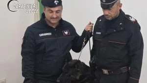 San Cassiano e Copertino, due donne arrestate dai Carabinieri per furto e spaccio