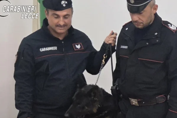 San Cassiano e Copertino, due donne arrestate dai Carabinieri per furto e spaccio