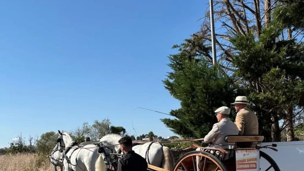 Anteprima di: Taviano, conclusi i festeggiamenti per la Madonna delle Rine: un successo di comunit&agrave;