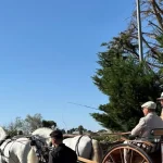 Anteprima di: Taviano, conclusi i festeggiamenti per la Madonna delle Rine: un successo di comunità
