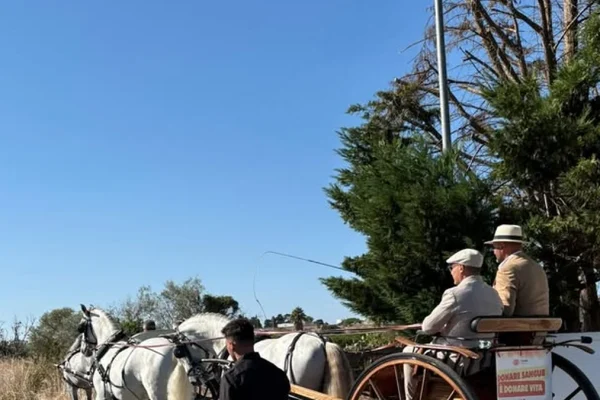 Taviano, conclusi i festeggiamenti per la Madonna delle Rine: un successo di comunità