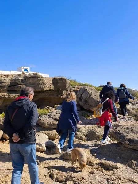 Dettaglio 11: Taviano, 'Sentieri di terra e di mare': nuova passeggiata botanica verso Punta Pizzo