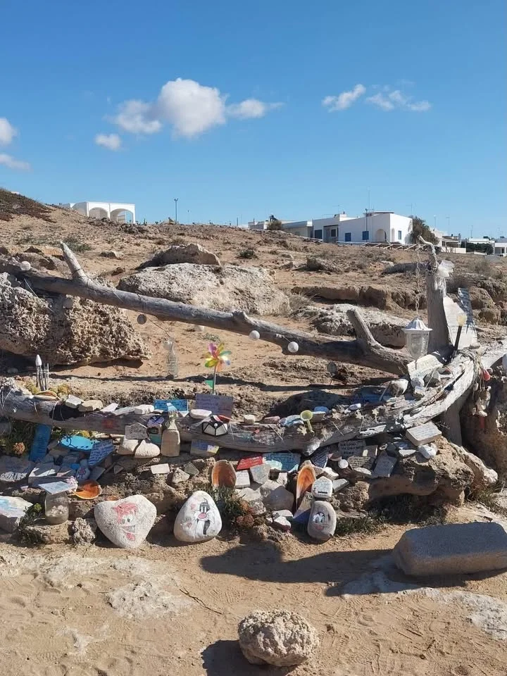 Dettaglio 2: Taviano, 'Sentieri di terra e di mare': nuova passeggiata botanica verso Punta Pizzo