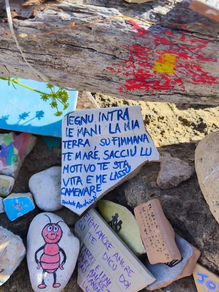 Dettaglio 4: Taviano, 'Sentieri di terra e di mare': nuova passeggiata botanica verso Punta Pizzo