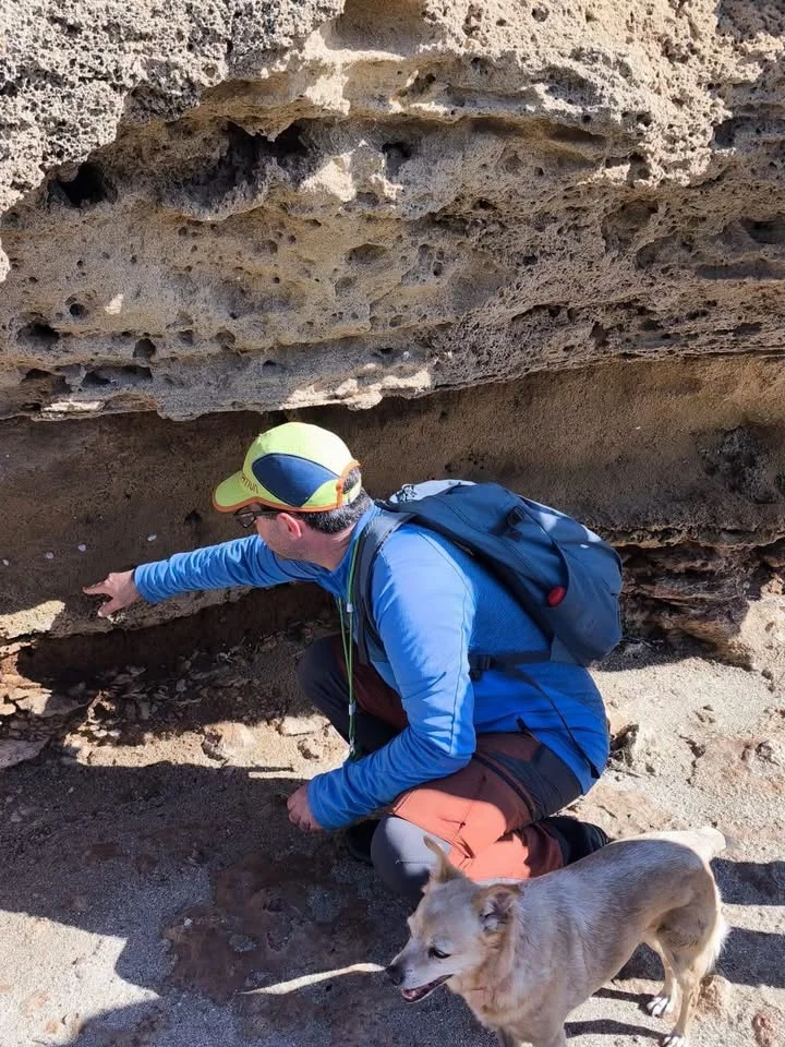Dettaglio 5: Taviano, 'Sentieri di terra e di mare': nuova passeggiata botanica verso Punta Pizzo