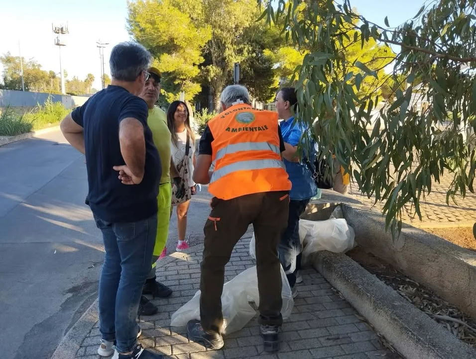 Dettaglio 12: Taviano, successo per la giornata ecologica 'Vivi Mancaversa!'
