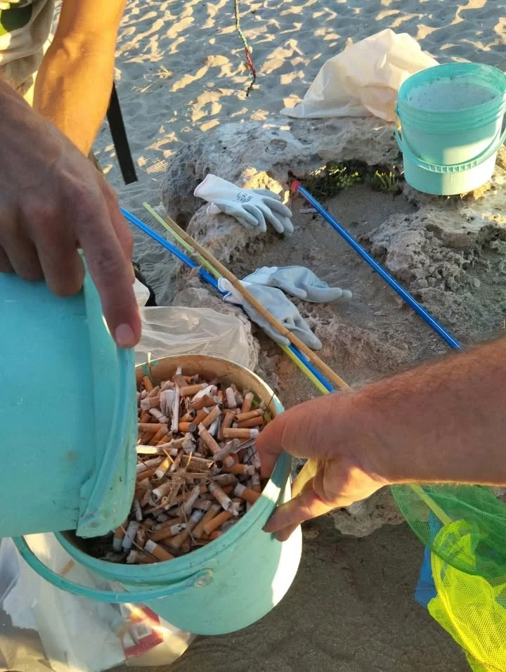 Dettaglio 3: Taviano, successo per la giornata ecologica 'Vivi Mancaversa!'