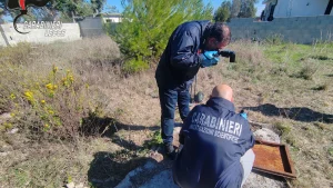 Anteprima di: Torre Rinalda, anziano trovato morto in un pozzo: indagini per omicidio a Lecce