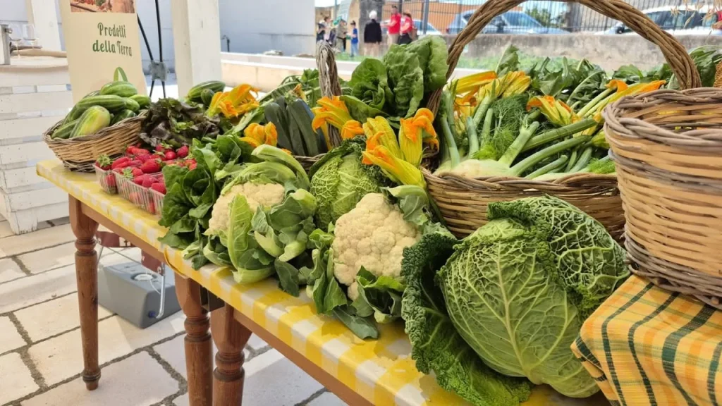 Dettaglio 1: Tricase Vintage 2026: la campagna torna in citt&agrave; con il mercatino dei produttori