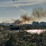 Anteprima di: Ugento, nuovo incendio nel Parco Litorale: ettari di macchia mediterranea in fiamme