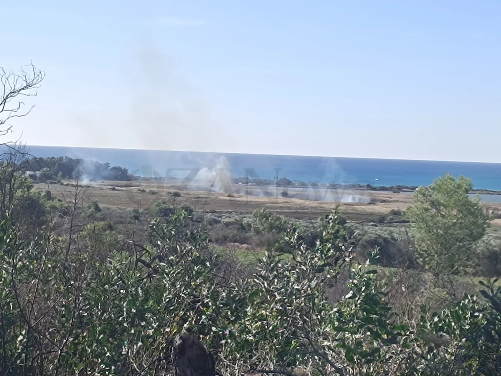 Dettaglio 2: Ugento, nuovo incendio nel Parco Litorale: ettari di macchia mediterranea in fiamme