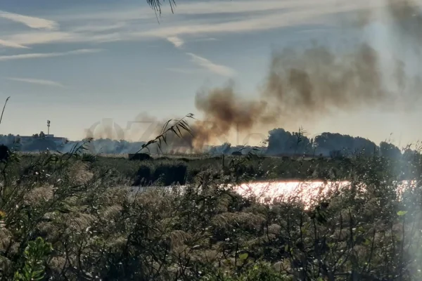 Ugento, nuovo incendio nel Parco Litorale: ettari di macchia mediterranea in fiamme