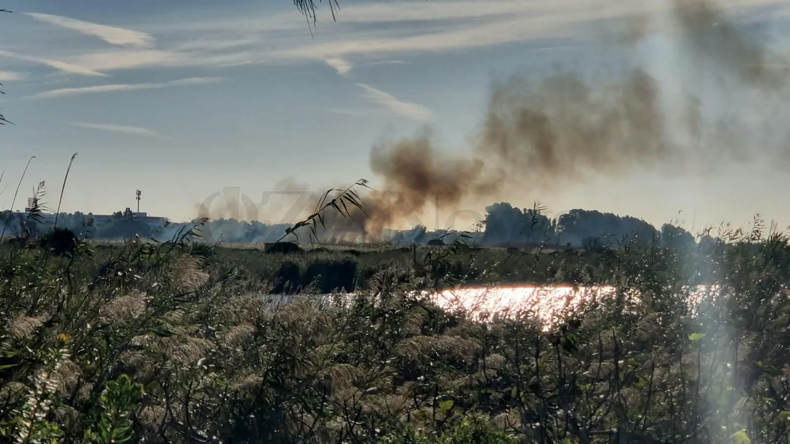 Foto: Ugento, nuovo incendio nel Parco Litorale: ettari di macchia mediterranea in fiamme