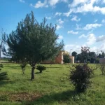 Anteprima di: Ugento, via libera al piano di manutenzione del verde pubblico: 22mila euro dall'imposta di soggiorno