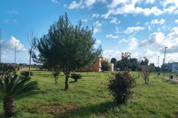 Ugento, via libera al piano di manutenzione del verde pubblico: 22mila euro dall’imposta di soggiorno