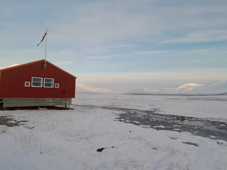 Dettaglio 4: UniSalento riprende la ricerca alle Svalbard: focus sul clima che cambia nell'Artico