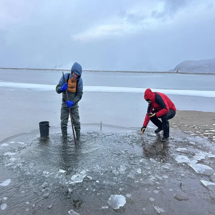 Dettaglio 8: UniSalento riprende la ricerca alle Svalbard: focus sul clima che cambia nell'Artico
