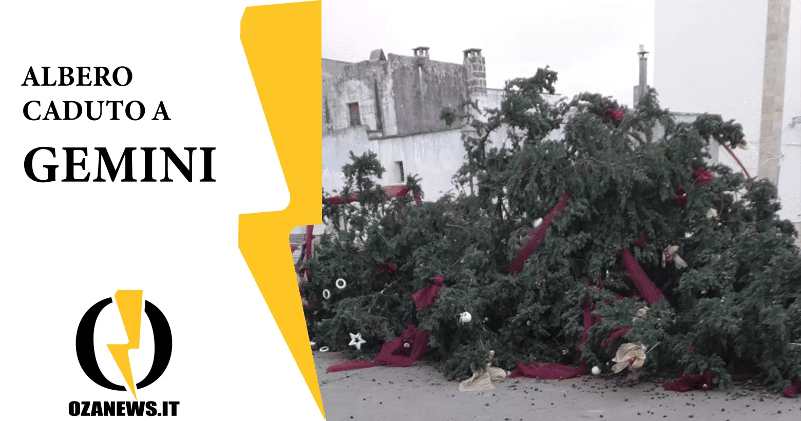 albero di natale a gemini