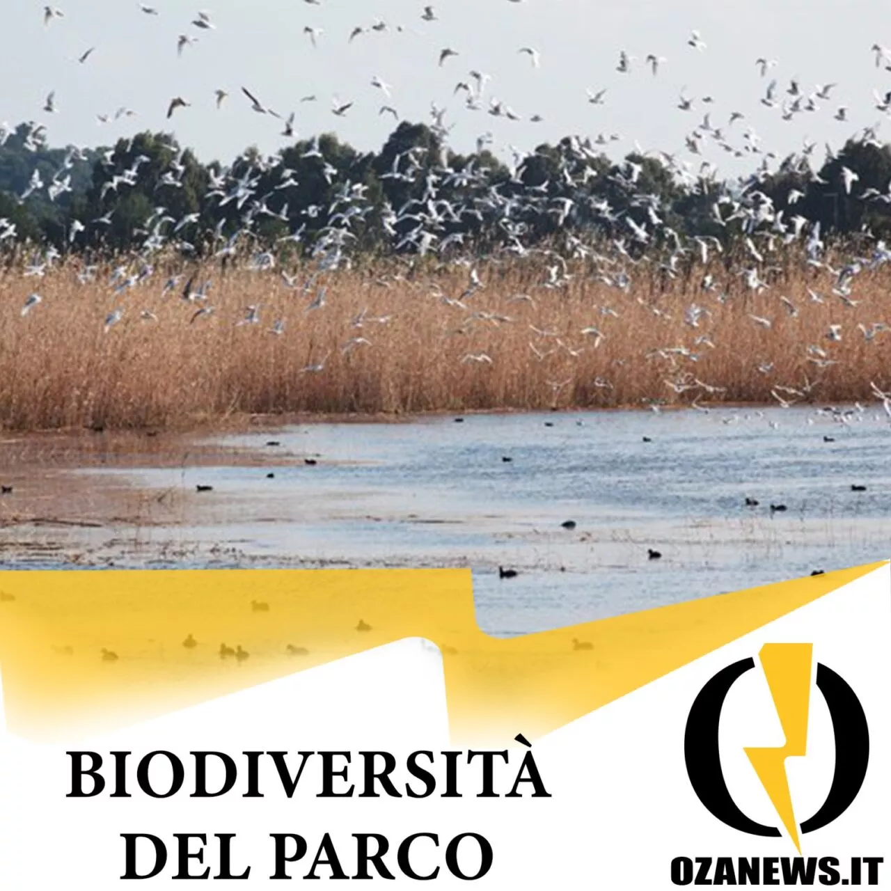biodiversità del parco