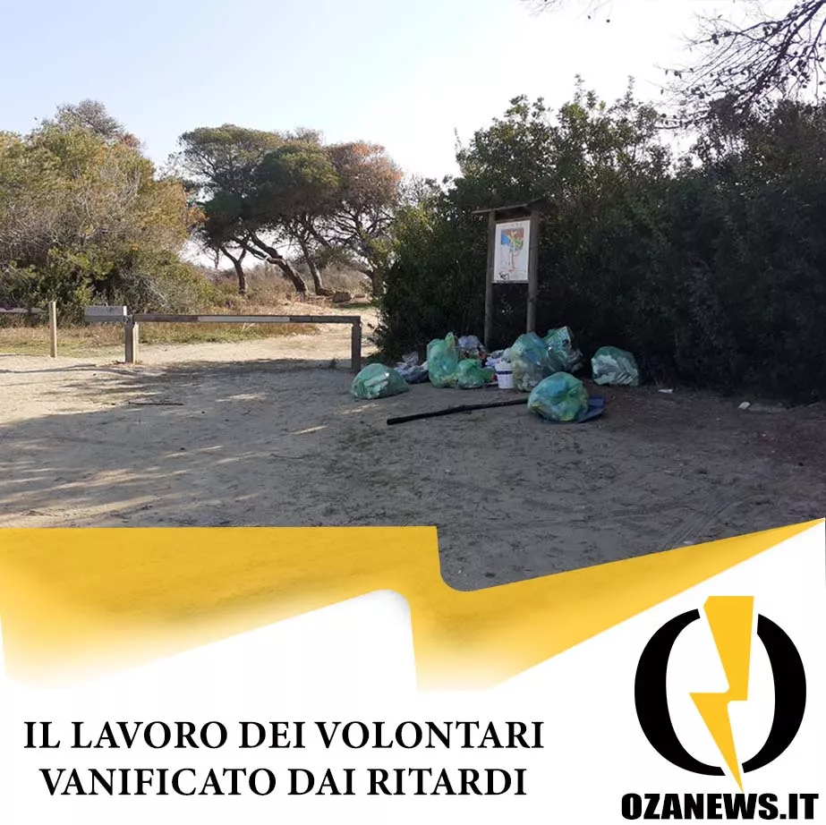 Lavoro Dei Volontari Ugento