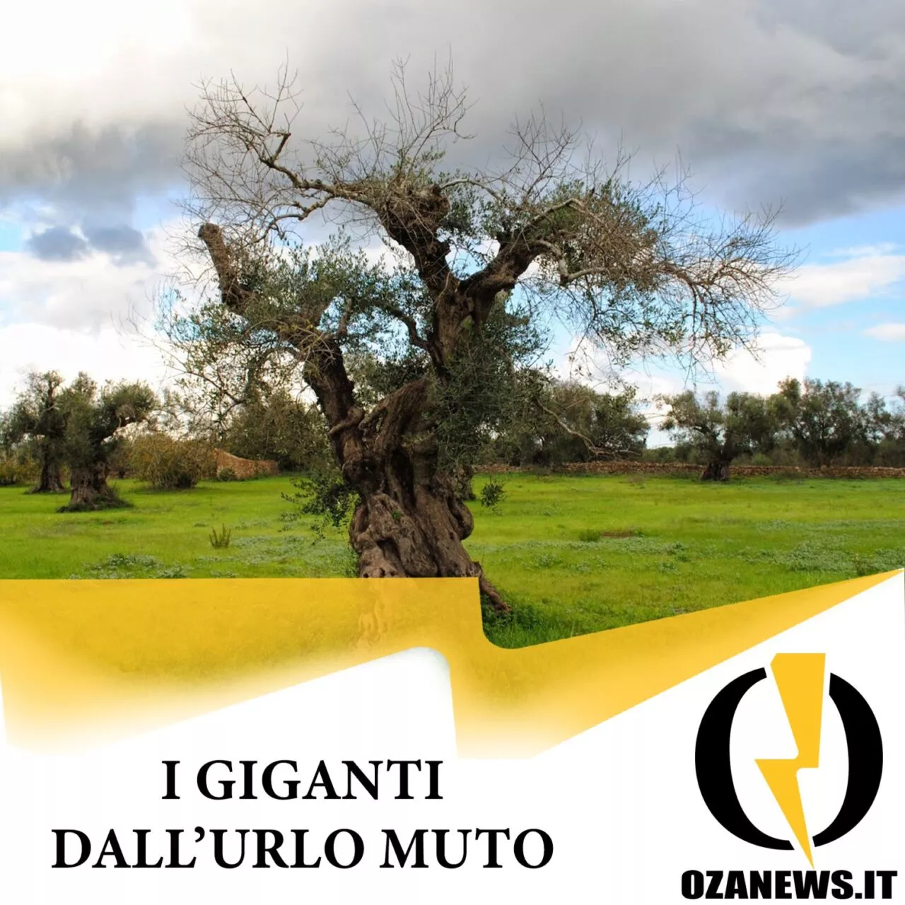 I giganti dall’urlo muto