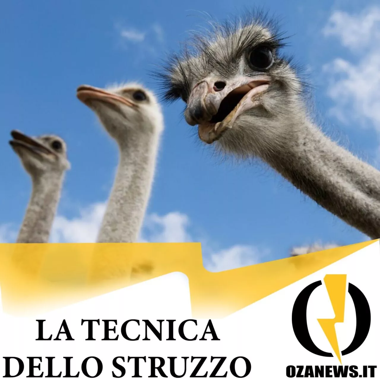 la tecnica dello struzzo