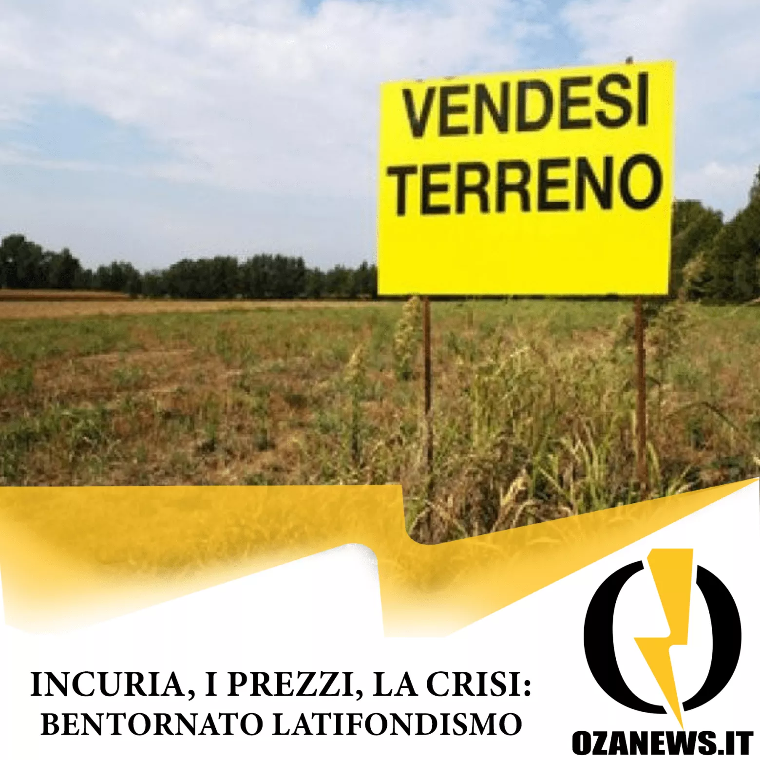 incuria i prezzi la crisi bentornato latifondismo