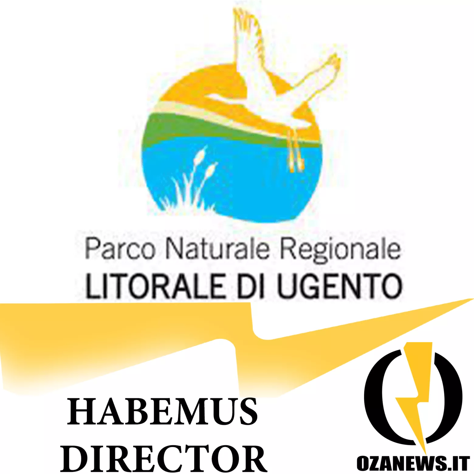 Nominato Il Direttore Del Parco Litorale Di Ugento