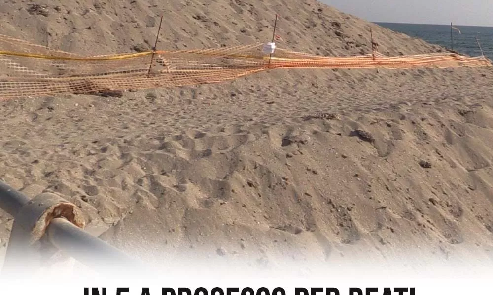 in 5 a processo per reati ambientali a torre mozza