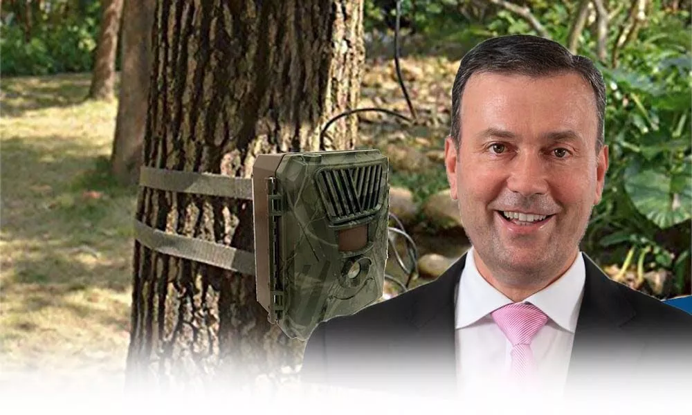 Ugento E Fototrappole Il Sindaco Non Risponde