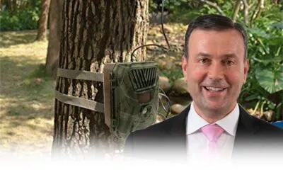 Ugento E Fototrappole Il Sindaco Non Risponde