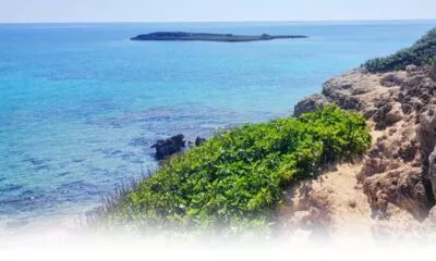 I Nonni E La Conca Del Mare