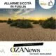 Allarme Siccita In Puglia