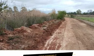 Non E Progresso E Devastazione Del Parco Di Ugento