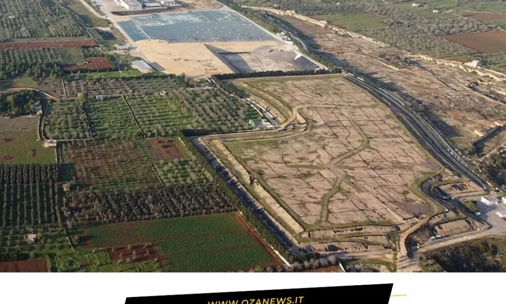 Burgesi I Dati Della Relazione 2024