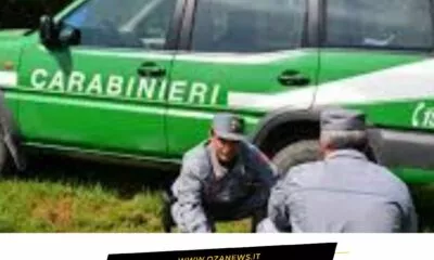 5 Nuovi Droni Per I Carabinieri Forestali