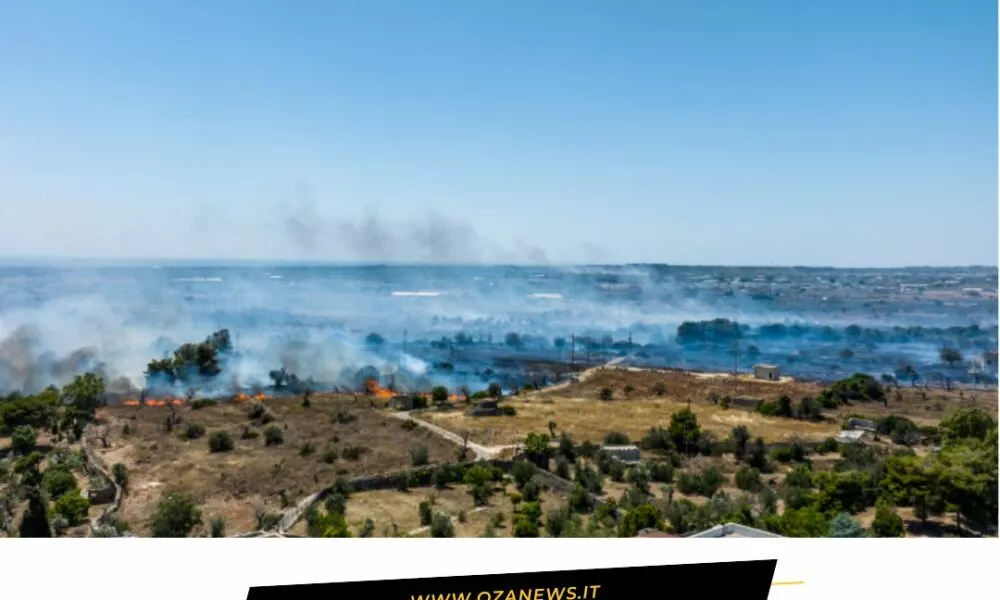 Ugento Assediata Dal Fuoco Una Giornata Di Paura E Distruzione