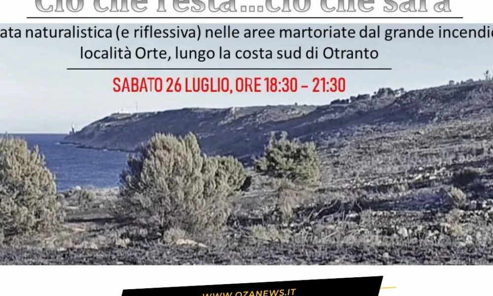 A Orte Una Camminata Per Riscoprire La Forza Della Natura Dopo Il Fuoco