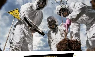 ECOREATI La Puglia Conquista Il Secondo Posto