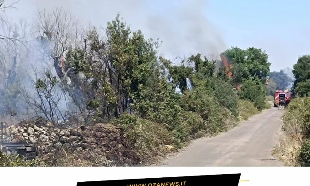 Incendio Tra Presicce Acquarica E Salve Oltre 5 Ettari In Fumo
